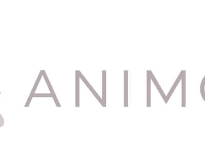 Animoto