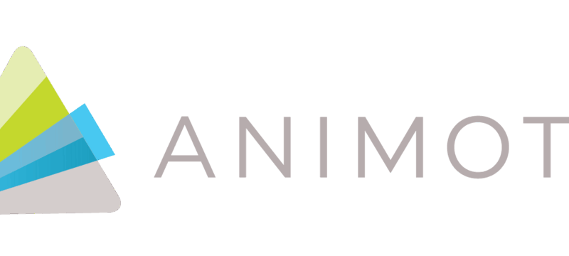 Animoto