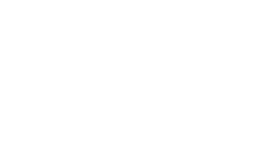 BigID