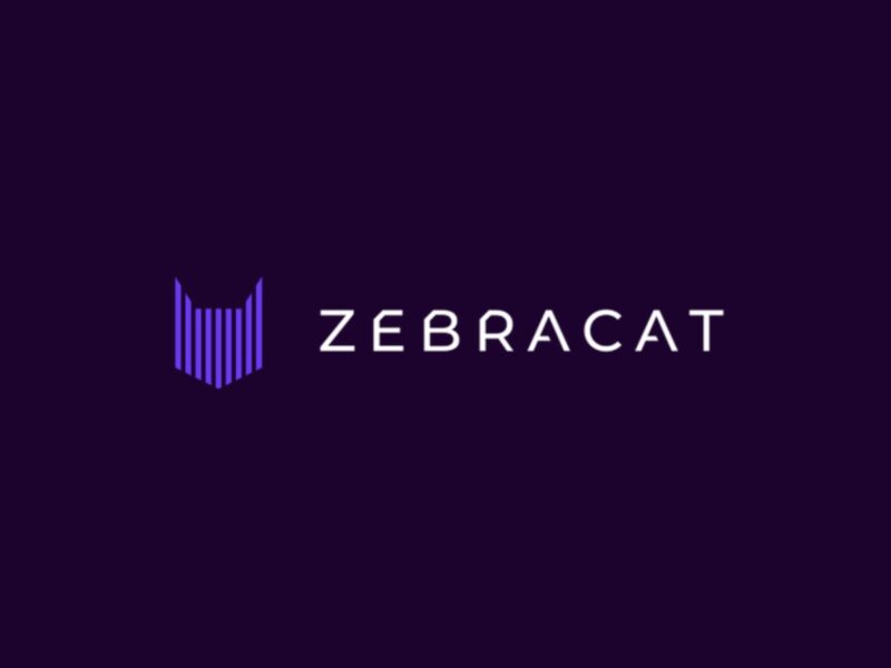 Zebracat