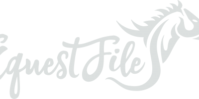 EquestFile