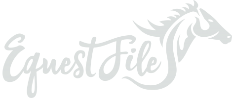 EquestFile