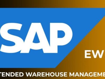 SAP EWM (Embedded)