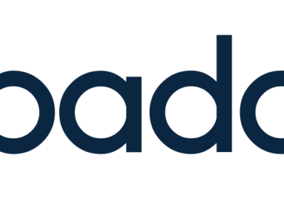 Paddle