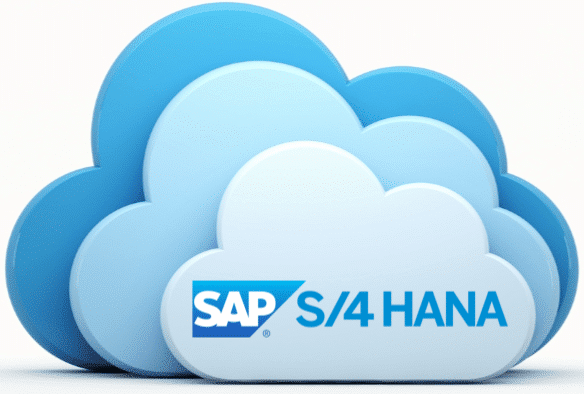 SAP S/4HANA Cloud